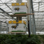 Hives of bees help with pollination.